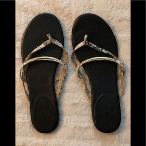 Ann Taylor Snake Skin Flip Flop